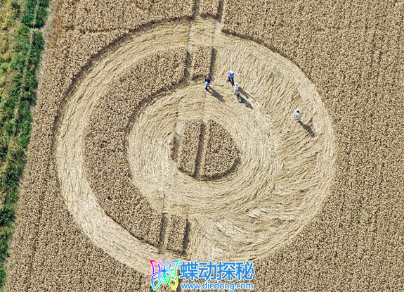 2011年8月02日英格兰Silbury Hill Wiltshire麦田怪圈