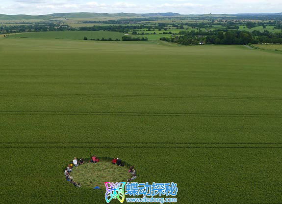 2012年7月12日英格兰Etchilhampton Wiltshire麦田怪圈