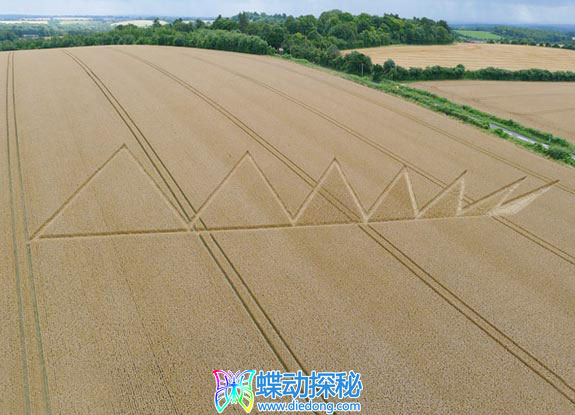 2012年8月05日英格兰Owlesbury Hampshire麦田怪圈