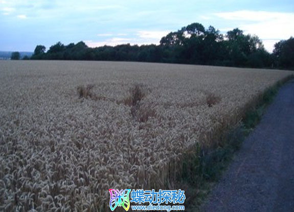 2017年7月21日英格兰Cardington Bedfordshire麦田怪圈