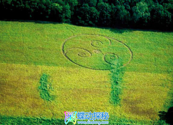 2007年9月23日美国Wayne County Ohio麦田怪圈