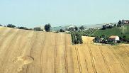 2006年6月24日意大利Montegranaro Marche麦田怪圈