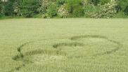 2007年5月17日意大利Farogliano Piemonte麦田怪圈