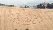 2008年6月29日意大利Ancona Marche麦田怪圈