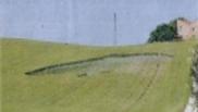 2010年5月27日意大利Montegranaro Marche麦田怪圈