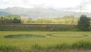 2012年5月16日意大利Figline Valdarno Toscana麦田怪圈