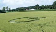2007年6月21日荷兰Andel Noord-Brabant麦田怪圈