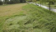 2011年5月23日荷兰Etten-Leur Noord-Brabant麦田怪圈