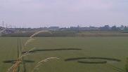 2012年7月11日荷兰Zevenbergschen Hoek Noord-Brabant麦田怪圈
