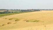 2006年7月09日英国Bragbury Lane Hertfordshire麦田怪圈