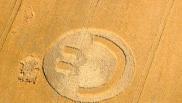 2006年7月15日英国Burlington Norfolk麦田怪圈