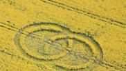 2007年4月22日英国Chilcomb Down Hampshire麦田怪圈