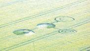 2007年6月11日英国Barton-Le-Cley Bedfordshire麦田怪圈