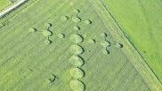 2008年9月28日英国Avebury Down Wiltshire麦田怪圈