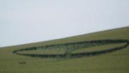 2009年6月20日英国Waden Hill Wiltshire麦田怪圈
