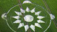 2015年5月24日英国Marlborough Wiltshire麦田怪圈