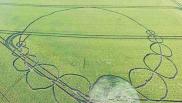 2016年6月30日英国Danebury Rings Hampshire麦田怪圈