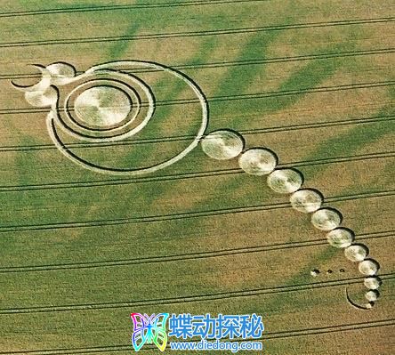 UFO星系飞行路径麦田怪圈