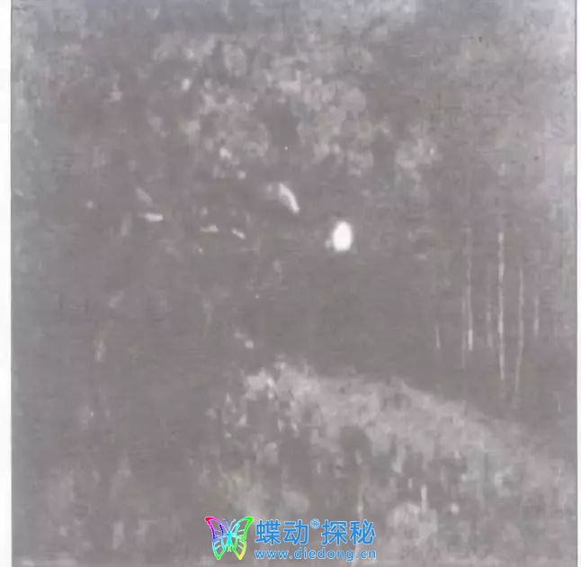 外星人展示精湛的可控光技术