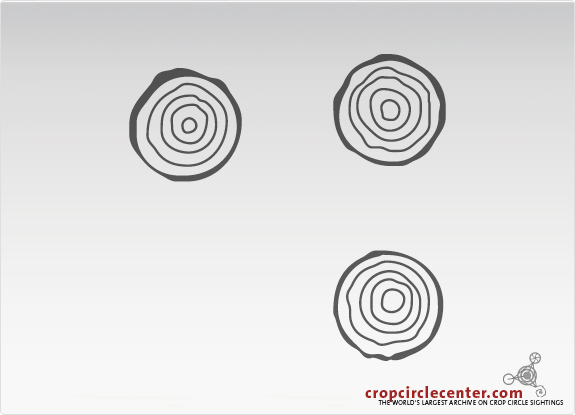 1991年4月33日挪威麦田怪圈