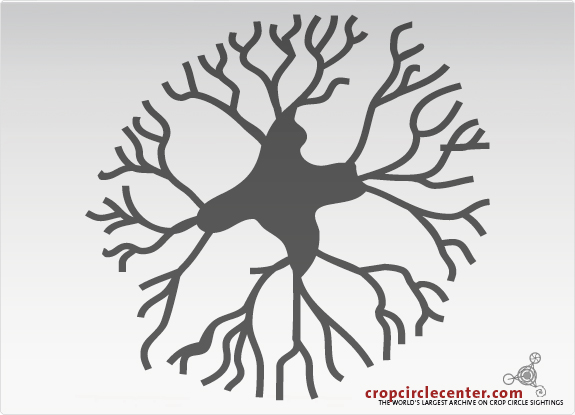 1999年7月25日捷克Â Brixworth麦田怪圈