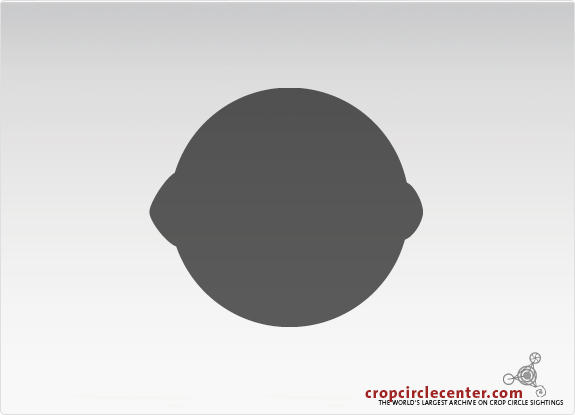 2004年6月24日加拿大ÂÂ ÂSoy beans6,5 m麦田怪圈