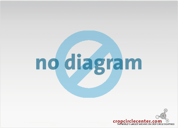 2006年3月32日澳大利亚Conondale麦田怪圈