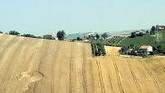 2006年6月24日意大利Montegranaro麦田怪圈