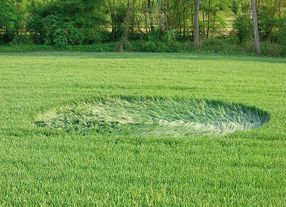 2008年5月7日意大利Gallo麦田怪圈