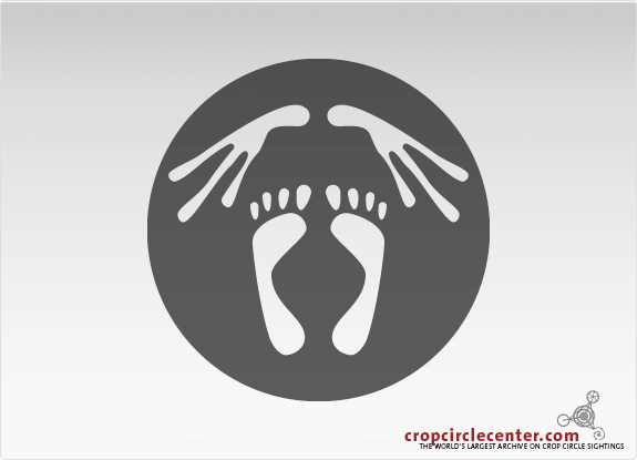 2008年7月10日荷兰Brouwershaven麦田怪圈