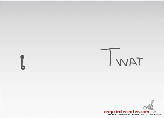 2009年7月7日英国Clatford麦田怪圈
