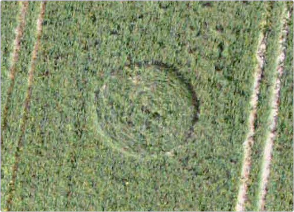 2011年5月17日英国Pitt麦田怪圈