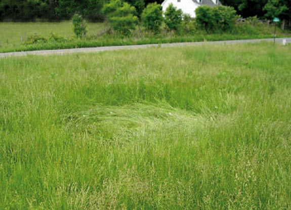 2011年5月16日美国Hardy麦田怪圈