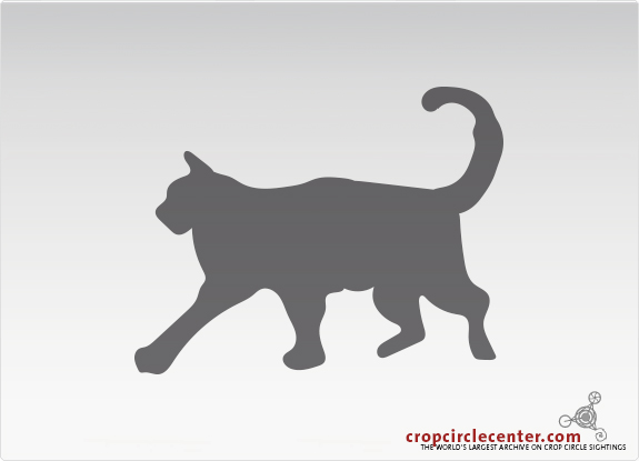 2015年7月21日波兰Slupno麦田怪圈