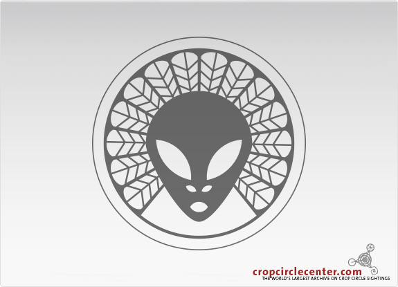 2016年7月19日英国Reigate麦田怪圈