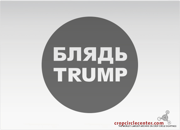 2018年7月6日英国Aylesbury麦田怪圈