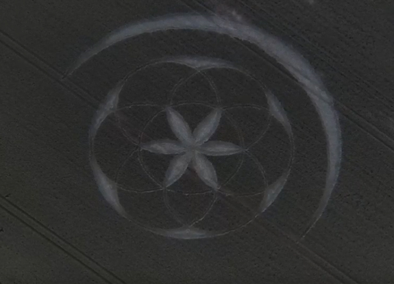 2020年6月25日麦田怪圈