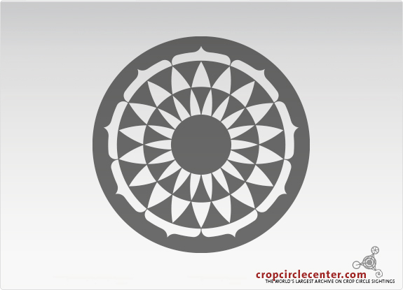 2020年6月25日麦田怪圈