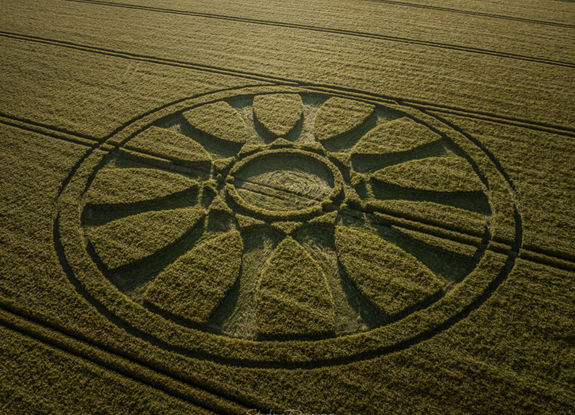 2020年6月14日麦田怪圈