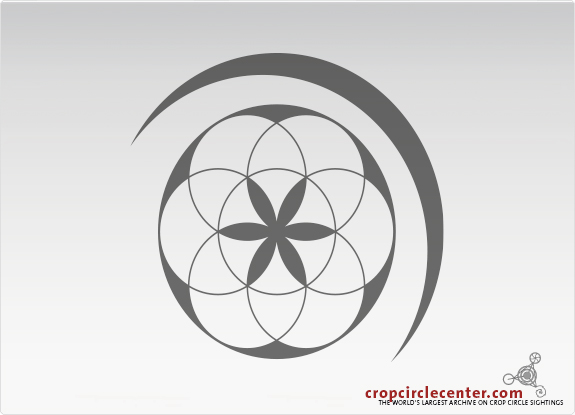 2020年6月25日麦田怪圈