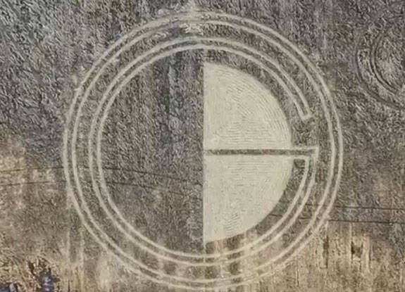 2020年7月29日麦田怪圈