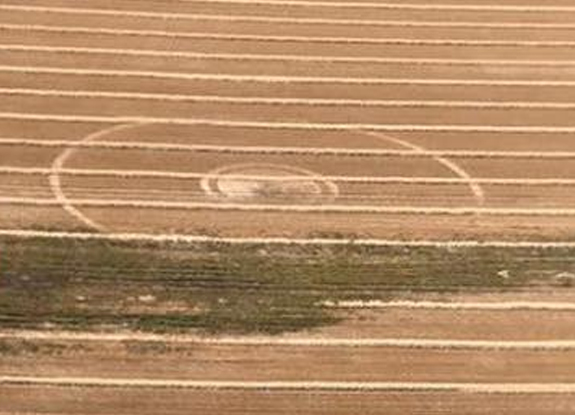 2020年7月22日麦田怪圈