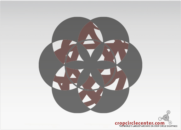 2020年7月12日麦田怪圈