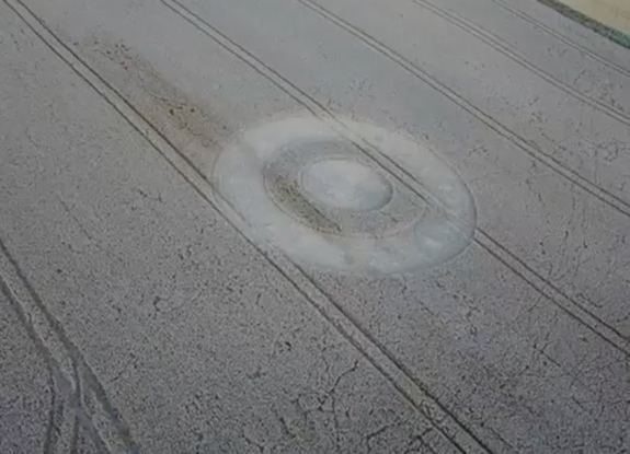 2020年7月29日麦田怪圈