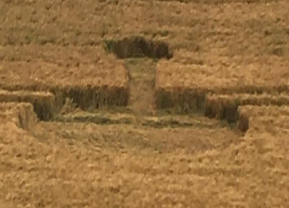 2020年7月15日麦田怪圈