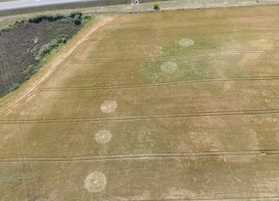 2021年7月30日麦田怪圈