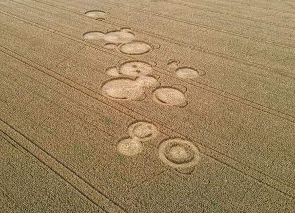 2021年7月13日麦田怪圈