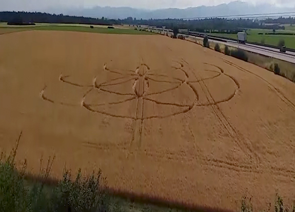 2023年6月11日法国France麦田怪圈