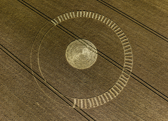 2023年8月2日英国Wexcombe麦田怪圈