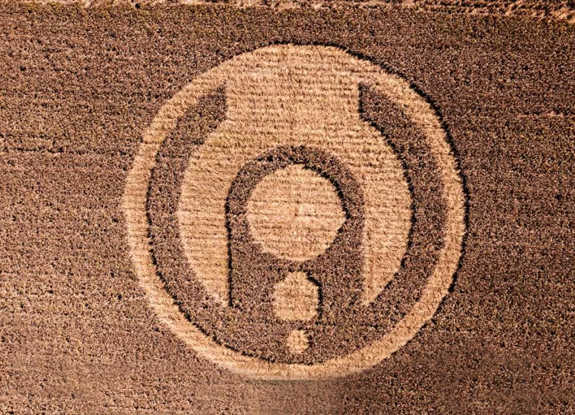 2024年6月25日澳大利亚Narromine麦田怪圈